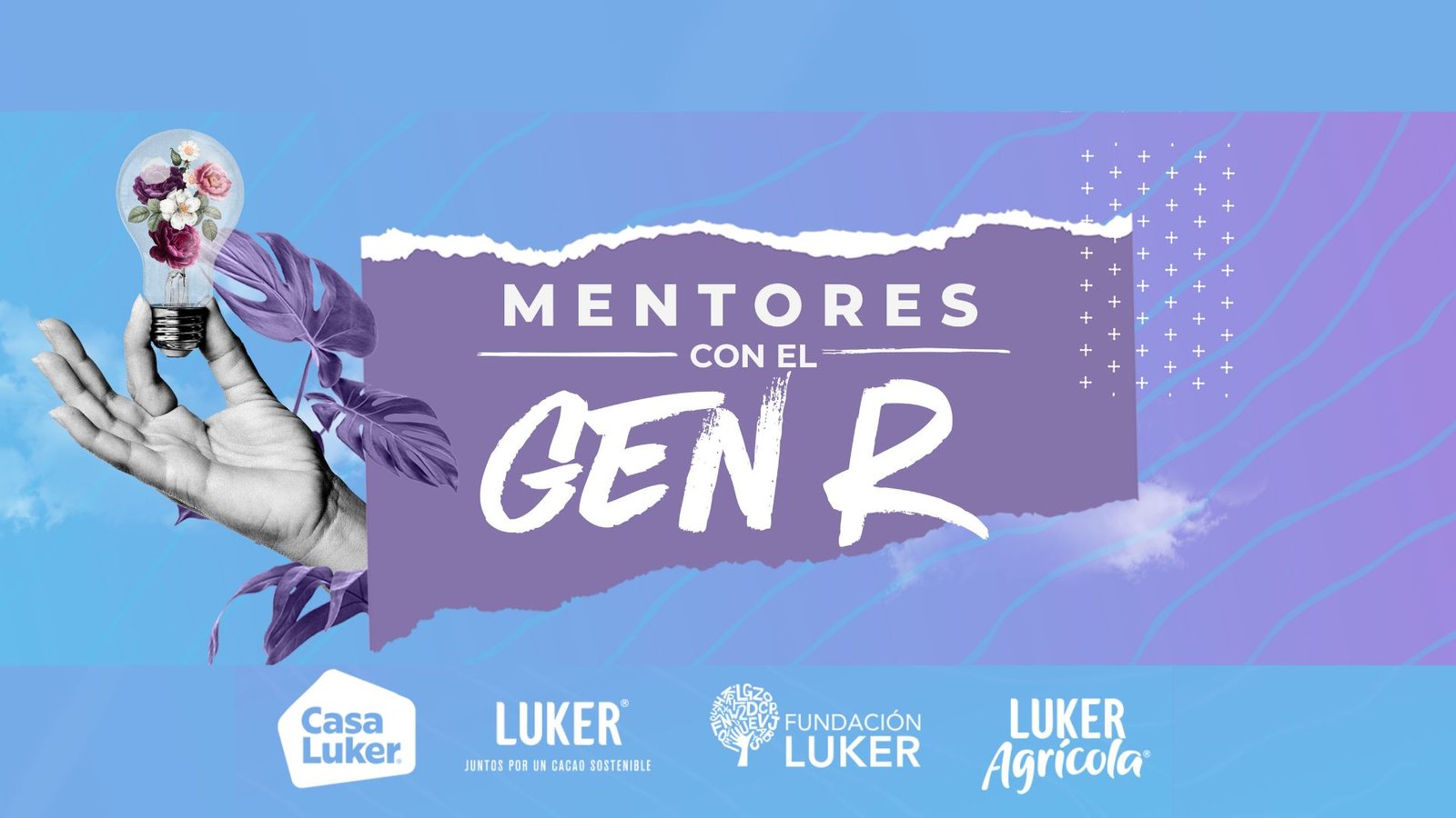Términos de referencia programa de Mentoría Generación R 